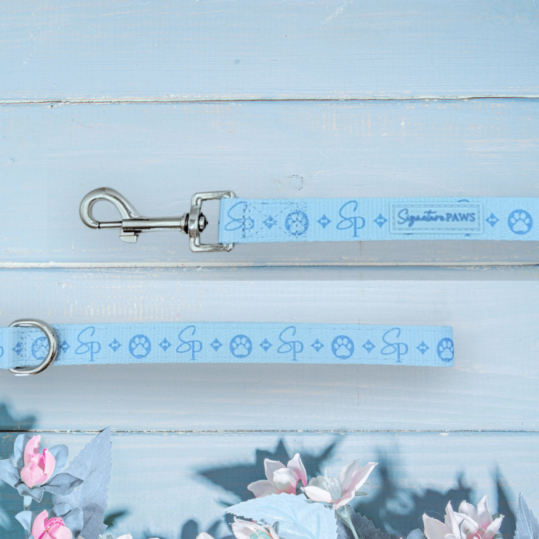 Signature BLUE Bundle