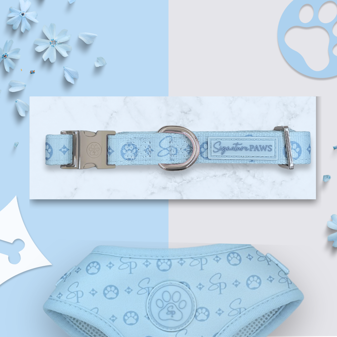 Signature BLUE Bundle