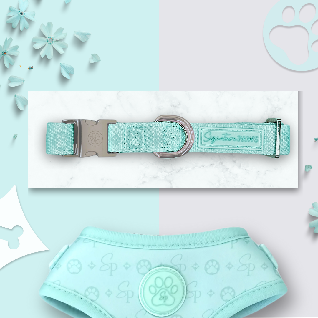 Signature MINT Bundle
