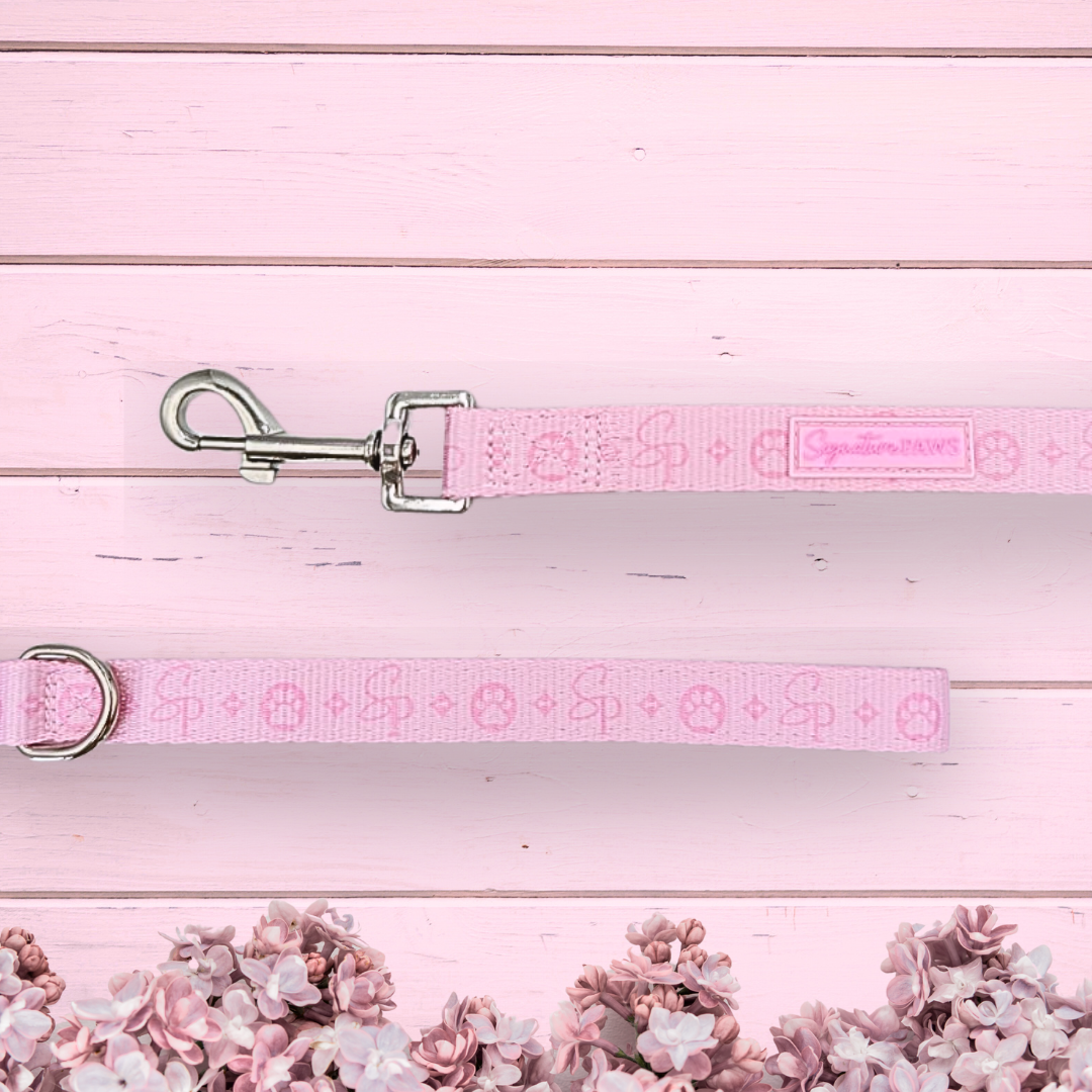 Signature PINK Bundle