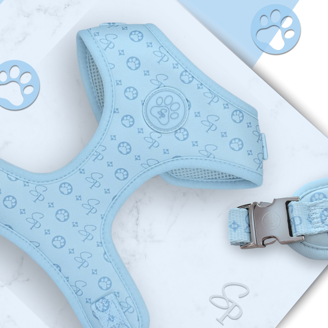 Signature BLUE Harness