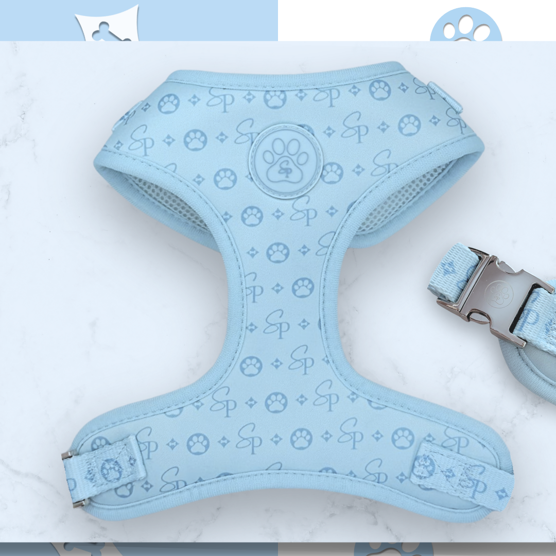 Signature BLUE Harness