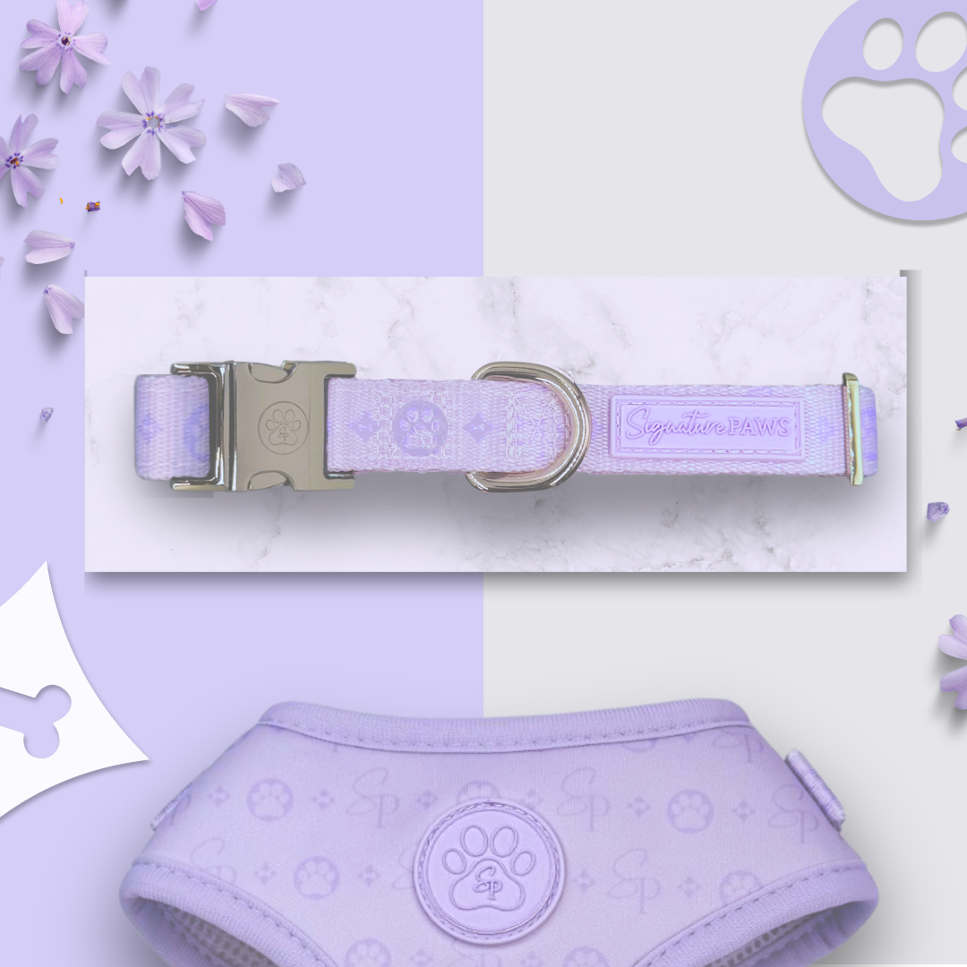 Signature LILAC Bundle