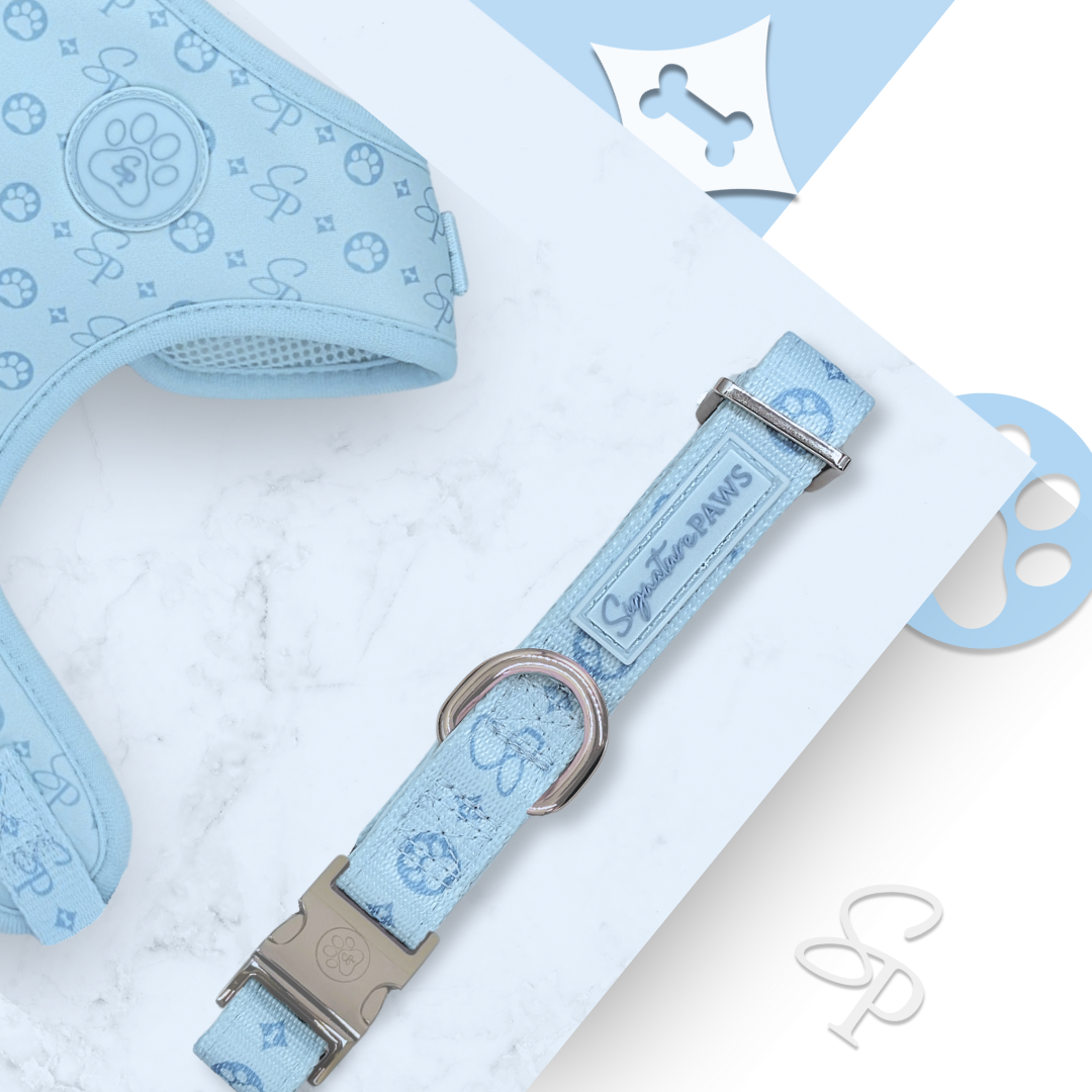Signature BLUE Collar