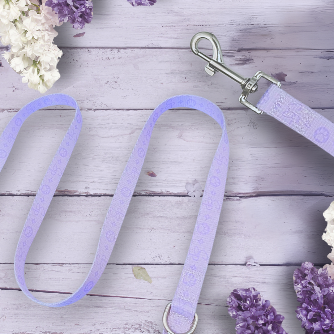 Signature LILAC Bundle