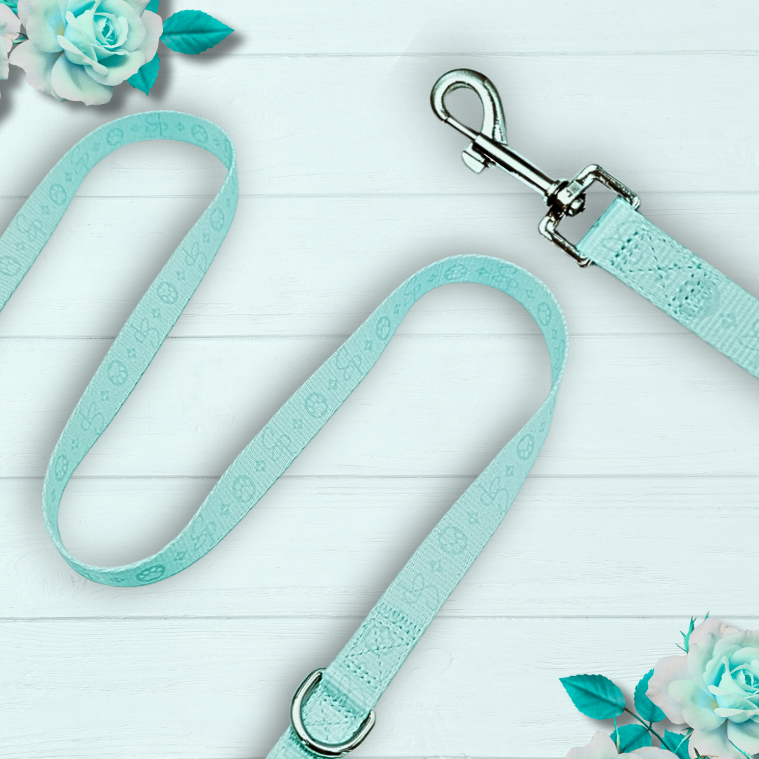 Signature MINT Bundle
