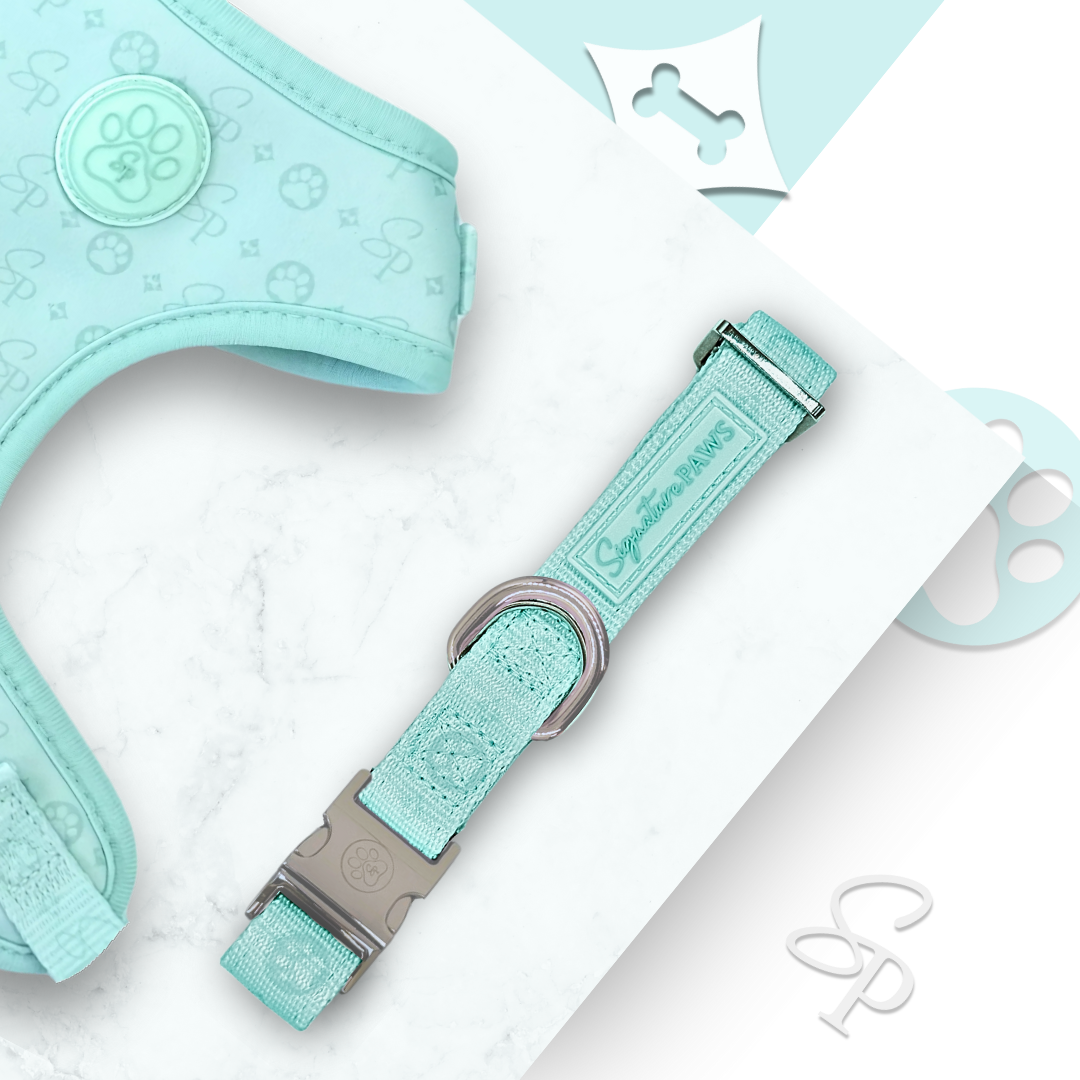 Signature MINT Bundle