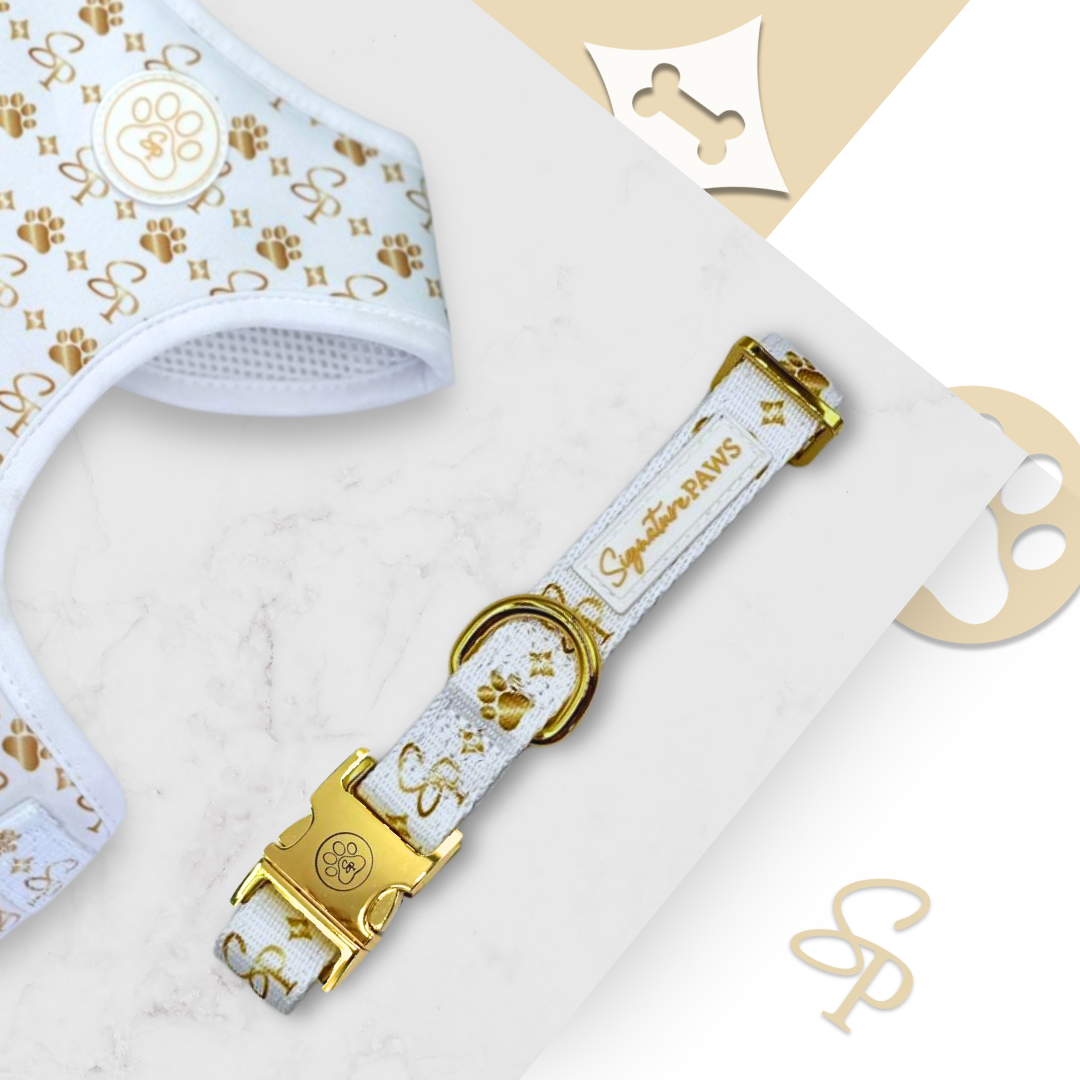 Signature WHITE Collar