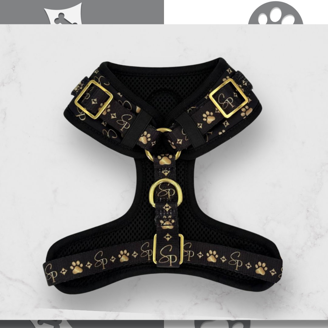 Signature BLACK Harness