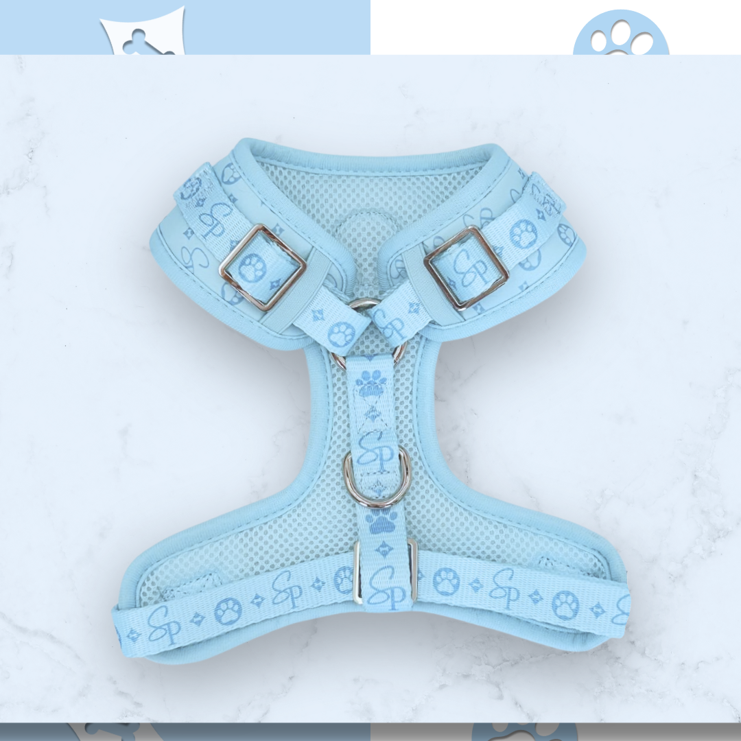 Signature BLUE Harness