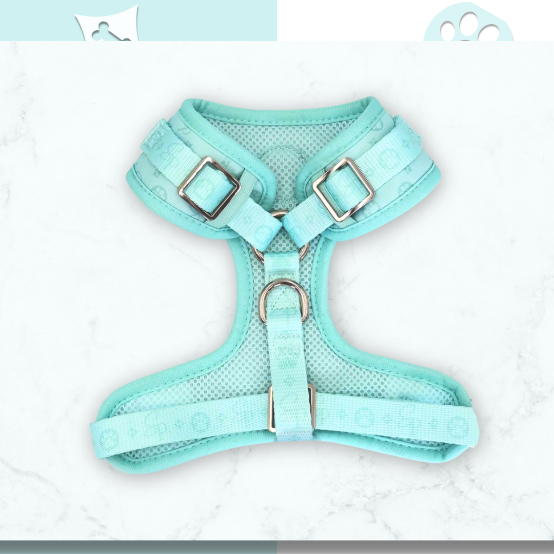 Signature MINT Harness