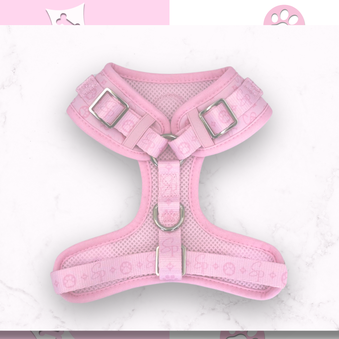 Signature PINK Harness