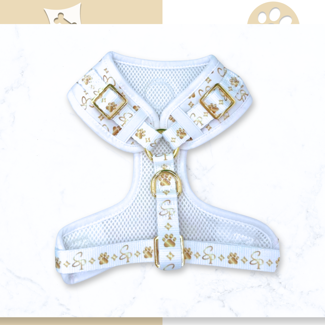 Signature WHITE Bundle