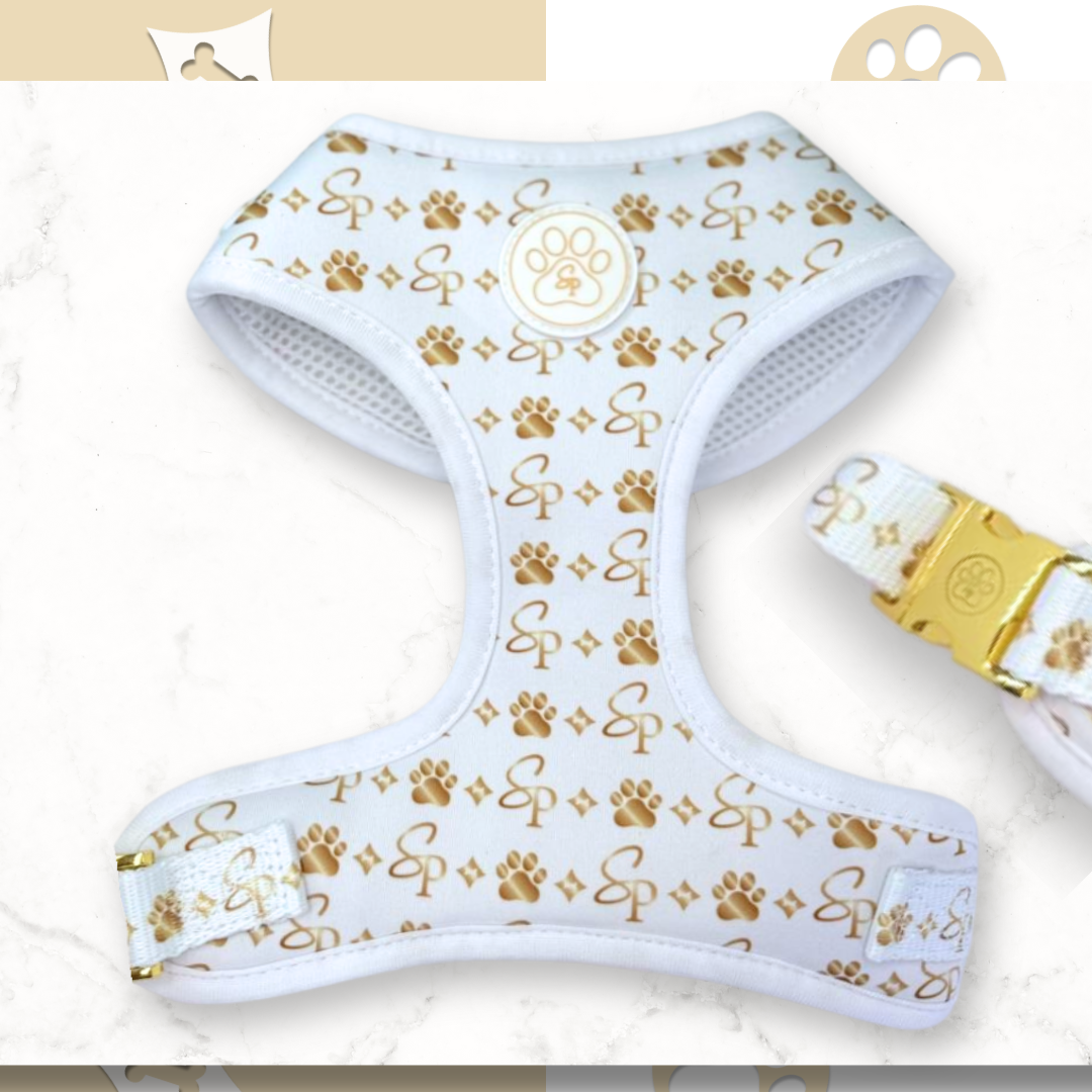 Signature WHITE Bundle