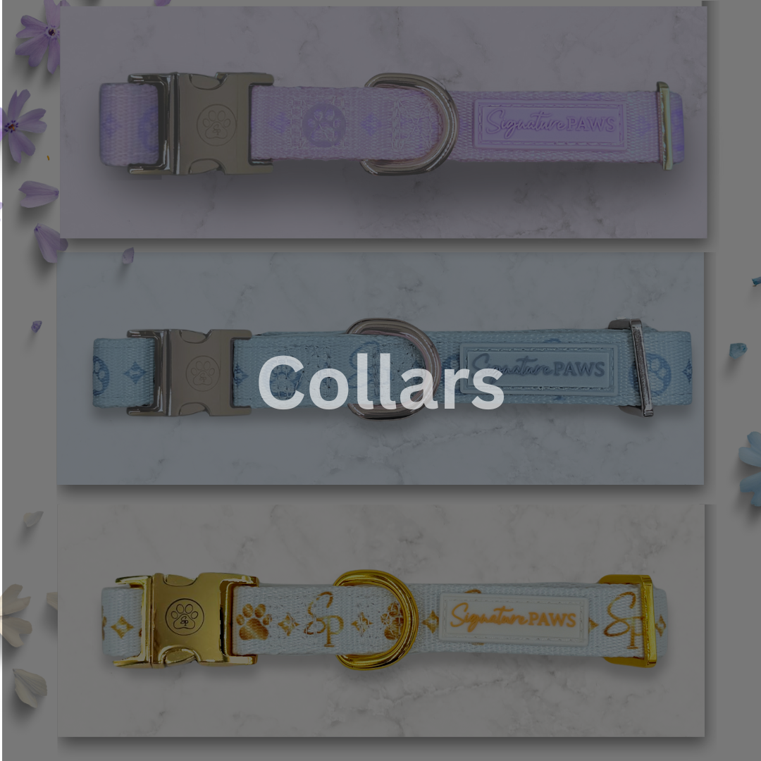 Dog Collar