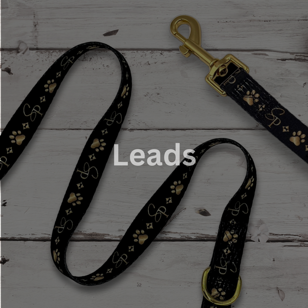 Dog Leads