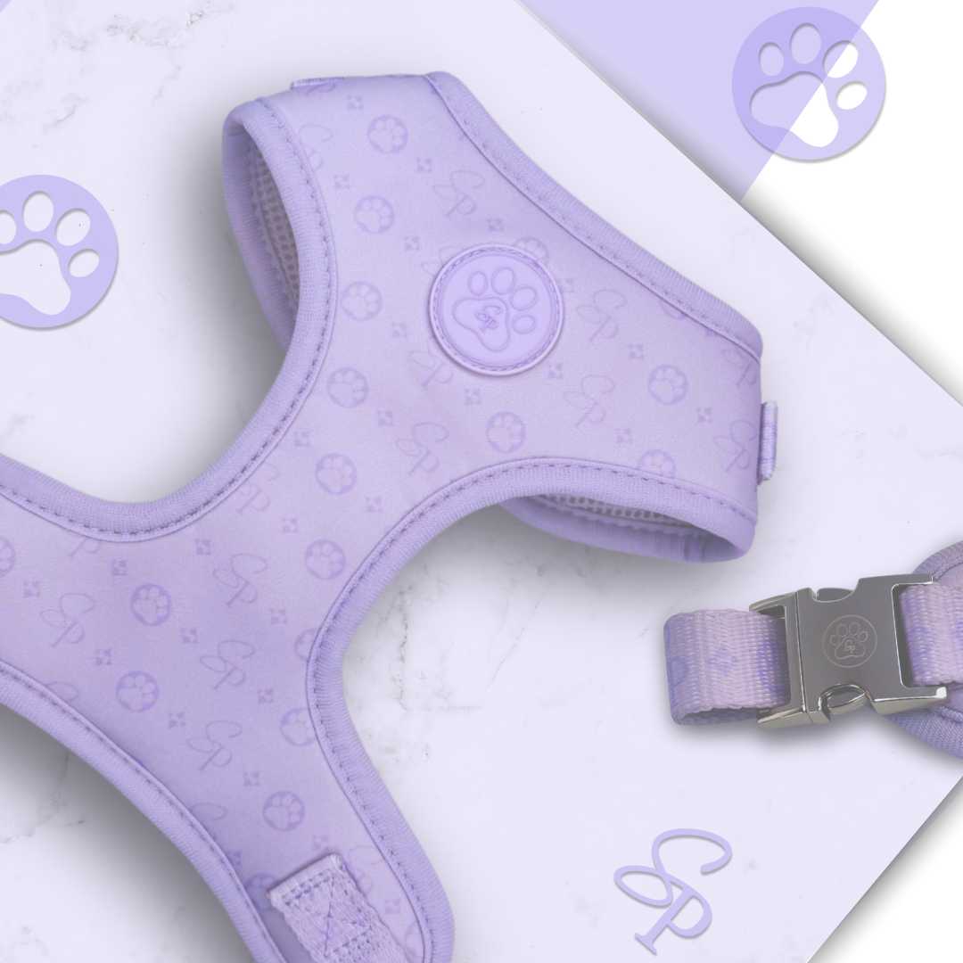Signature LILAC Harness