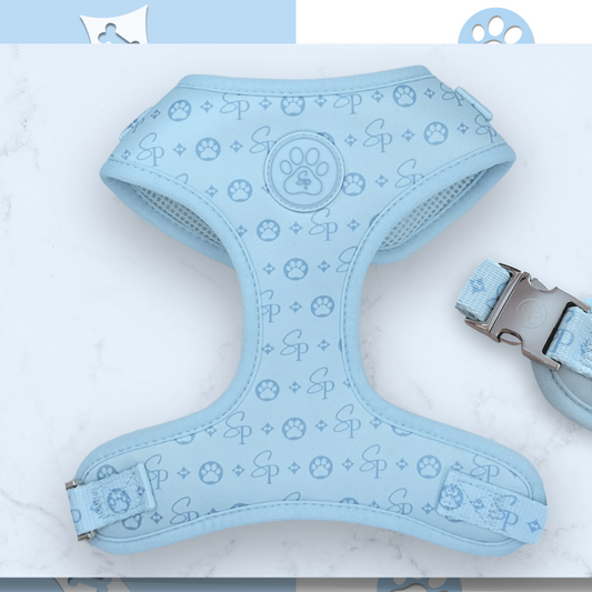 Signature BLUE Harness