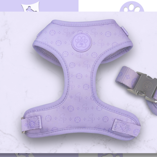 Signature LILAC Harness
