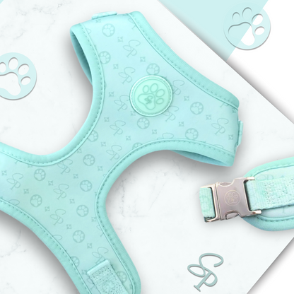 Signature MINT Harness