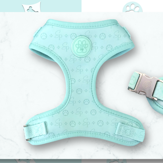 Signature MINT Harness