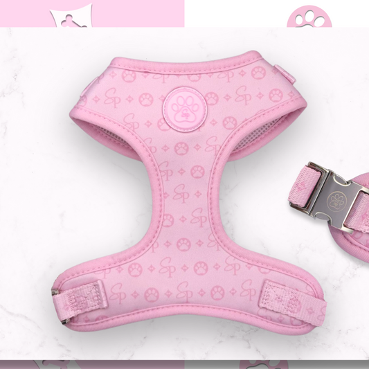 Signature PINK Harness