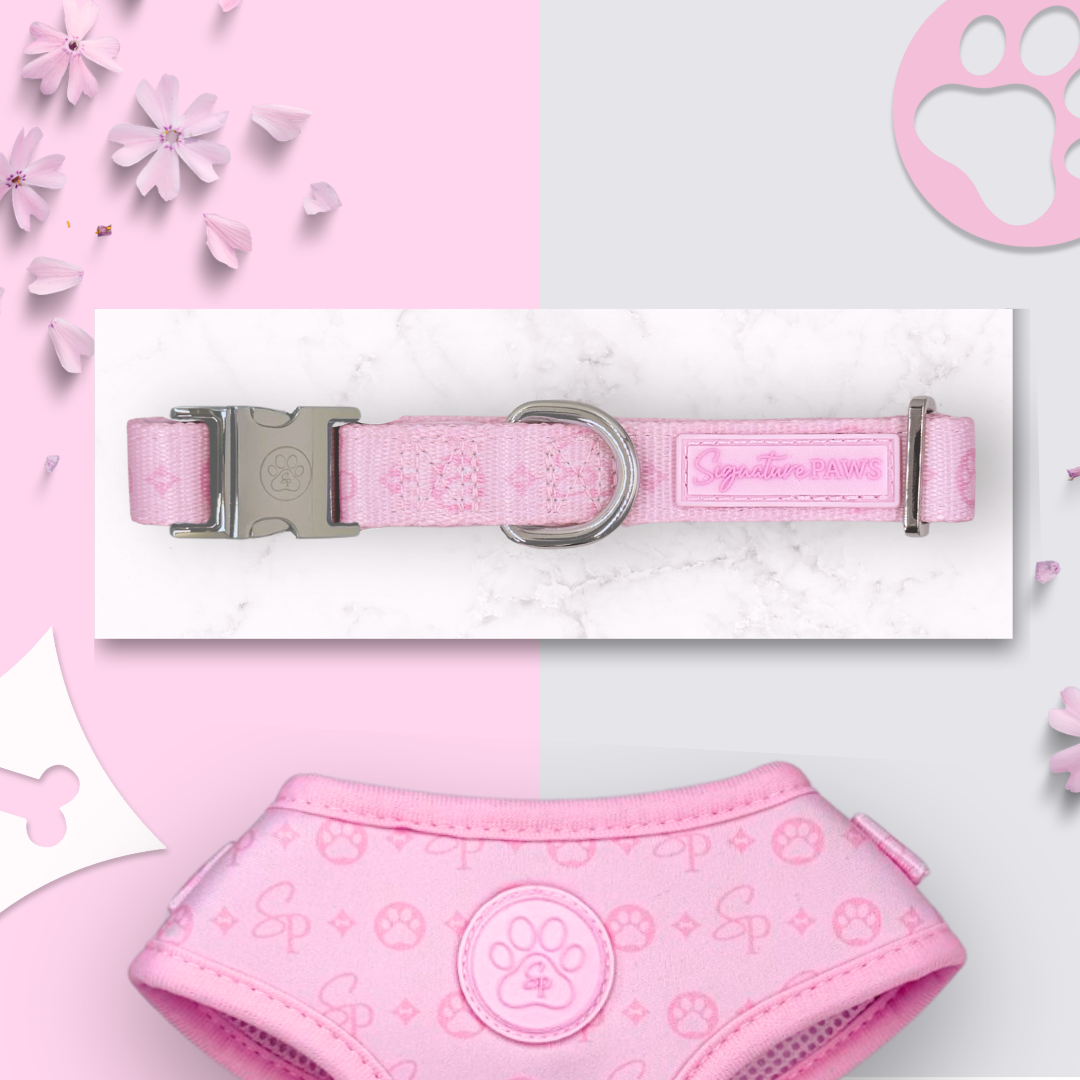 Signature PINK Collar
