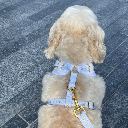 Signature WHITE Harness