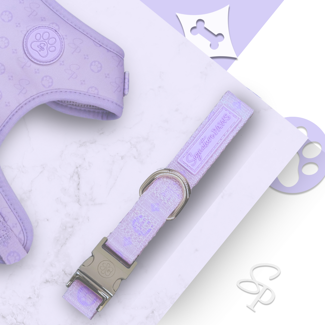 Signature LILAC Collar