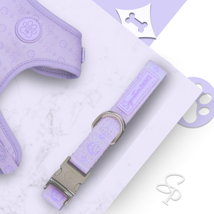 Signature LILAC Collar