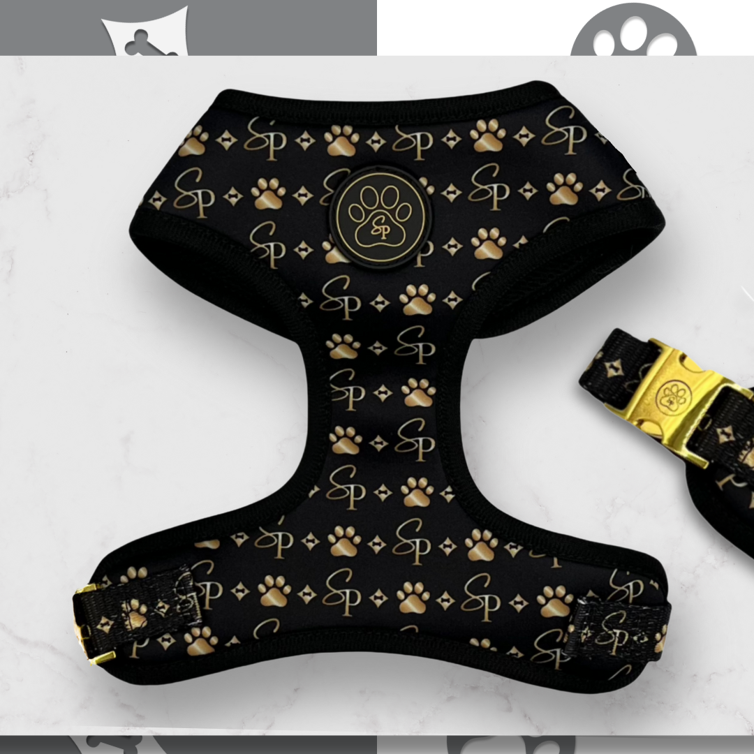 Signature BLACK Harness